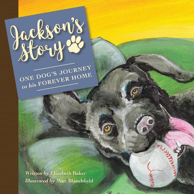 Jackson'S Story(English, Paperback, Baker Elizabeth)
