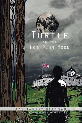 Turtle in the Hot Plum Moon(English, Paperback, Beckman Pat Ramsey)