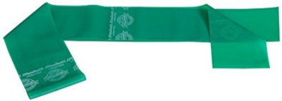 

Thera-Band Heavy Resistance Latex Free Exercise Band 13 Feet( Length) x 4 Inches( Width) Green Resistance Band(Green, Pack of 1)