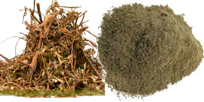 

PRAMSH Premium Quality Bhumi Amla Powder 600gm(600 g)
