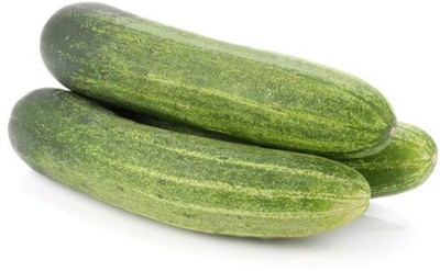

AllThatGrows Cucumber Seeds, Summer Kheera Kakdi Seeds, Kakri Khira Seeds Pack Of 20 Seed(20 per packet)