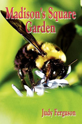 Madison's Square Garden(English, Paperback, Ferguson Judy)