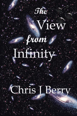 The View from Infinity(English, Paperback, Berry Chris J)