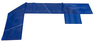 

Thera-Band Theraband Latex Free Resistance Exercise Band Resistance Band(Blue)