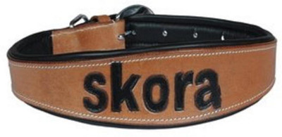 

Skora Plain Dog Collar Charm(Brown, Round)