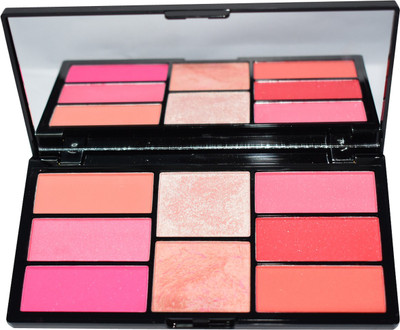 

Platinum 8 Blush And Highlight Powder In Palette-02(8)