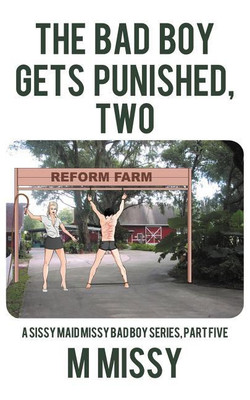 THE Bad Boy Gets Punished, Two(English, Paperback, m missy)