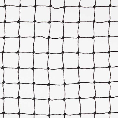 

Armor ANTI BIRD NET 10ftx4ft (40 Sq Ft) High Quality Nylon Bird Mesh(BLACK)with Free 30pcs Plastic Cable Clip & Tying Ropes Cricket Net(Black)