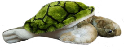 

Speoma TORTOISE ANIMAL SOFT TOY - 25 cm(Multicolor)