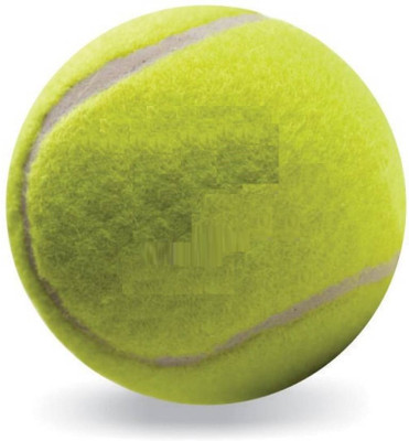 

QUINERGYS ® Cricket Tennis Ball(Light & Soft) Cricket Tennis Ball(Pack of 1, Yellow), Yellow-type-013