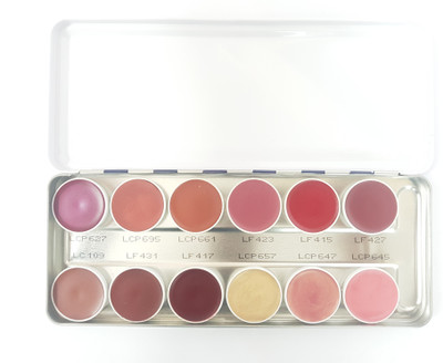 

KRYOLAN Lip Rough Palette 12 colors ( EC-13 )(Grey, 40 ml)