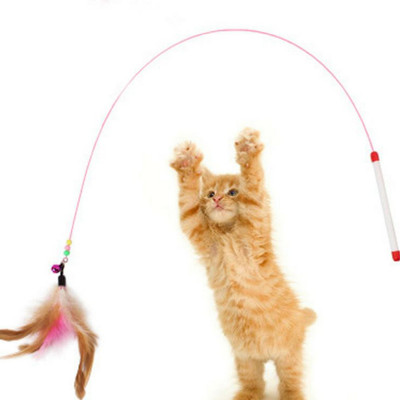 

PetSutra Cat Toy Chasing Teaser Feather Toy Plastic Stick For Cat