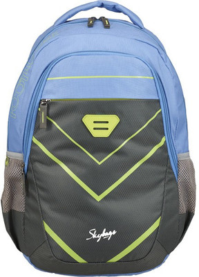 

Skybags EON 1BACKPACK GREY 26 L Backpack(Grey, Blue)
