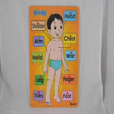 

Instabuyz body parts(10 Pieces)