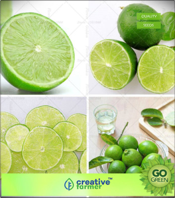 

Creative Farmer Lime Lemon Fruit Plant Seeds- Huge Production Fruit Seeds Mixed Seed(20 per packet)