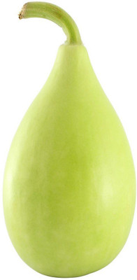 syed garden POT Bottle gourd seed, 20 seed Seed(20 per packet)