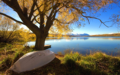 

Natural Scene of Lake view Poster Paper Print(12 inch X 18 inch, Rolled)