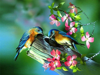 

Natural Scene of Beautiful Bird Poster Paper Print(12 inch X 18 inch, Rolled)