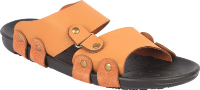 

Shopolozy Men Tan Sandals