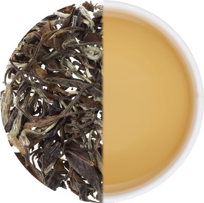 

FINJAAN White Tea - White Peony - Speciali'Teas Assorted White Tea Box(25)