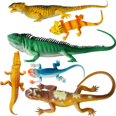 

Apurbas Learning Resources Jumbo Insects, 13 -Insects Pack Of 6(Multicolor)
