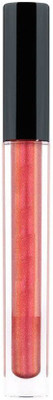 

TANVI27 Queen Matte Me(Multicolor)