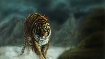 

MNTC Beautiful Lion Poster (Paper Print, 12x18 inch) Paper Print(12 inch X 18 inch, Rolled)
