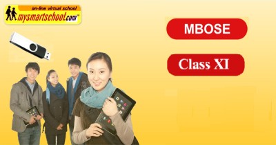 mysmartschool Class-XI-MBOSE_Syllabii-USB Pendrive_Course-Ver2.0 English,Mathematics,Physics,Chemistry,Biology ,History ,Comp.Sc,Health , Hindi ,Geography,Economics And Pol.Science &EVS (13 Subjects).with FUN ,Songs & Plenty of FUNSHEETS.All/each Lessons are Interactive Multimedia/Video Lessons with