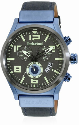 

Timberland TBL.15337JSBLU/13 Watch - For Men