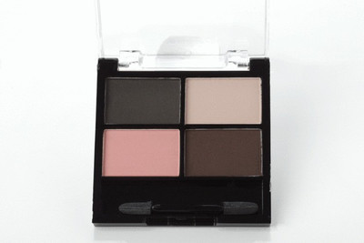 

SANTEE EYESHADOW - NUDESMOKY CLASSIC 4 g(3)