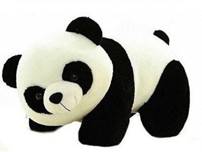 

Shopfloor.XYZ Small Stuffed Cute-Lovable Panda - 23 cm(BLACK AND WHITE)