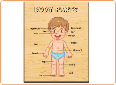 

Playgro Body Part Board Game