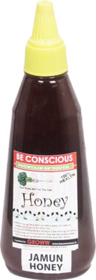 

Beconscious Oragnic Jamun Flavour Honey(500 g)