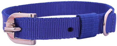 

Skora Dog Everyday Collar(, Multicolor