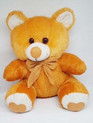 

COST TO COST Big soft brown ribbon teddy - 15 inch(Multicolor)