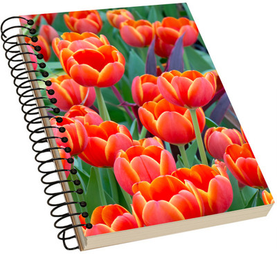 

Kiwis A5 Notebook(Innovative Texture Notebook, Multicolor)
