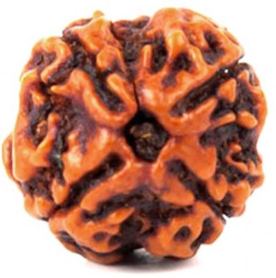 SHIVOHAM 4 mukhi Rudraksha Silk Dori