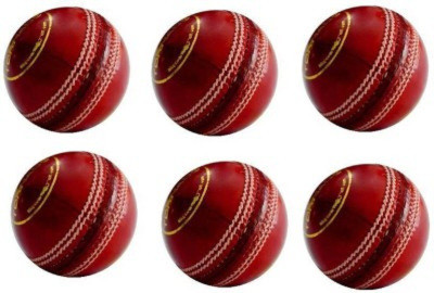 

Queen Sports Industries 06 Cricket Leather Ball(Pack of 6, Red)