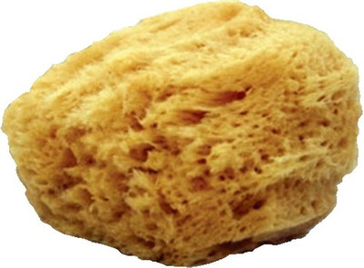 

mehron Natural Sea Sponge Applicator