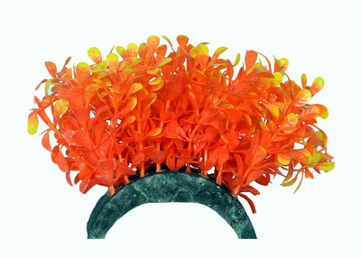 

Liger India Aquarium/ Fish Tank Decorative Artificial Plant Crushed Coral Planted Substrate(Orange)