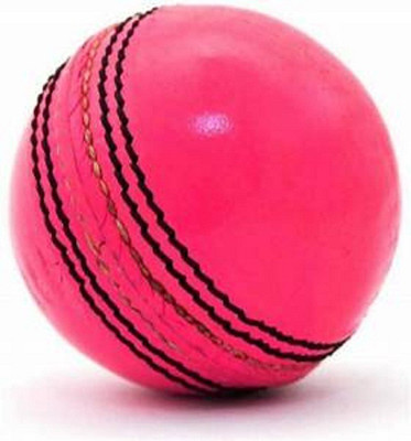

Queen Sports Industries Pink6 Cricket Leather Ball(Pack of 6, Pink)