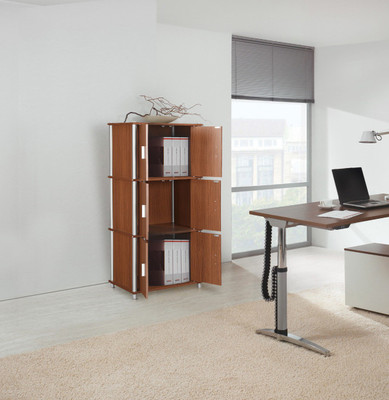 HomeTown Jacob Engineered Wood Free Standing Cabinet(Finish Color - OAK, Door Type- Framed Sliding)