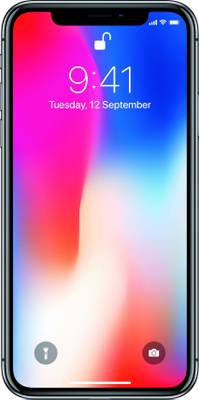 (Refurbished) APPLE iPhone X (Space Gray, 256 GB)