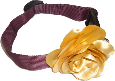 

Furbabies Strip-on Collar for Dog(BLACK
