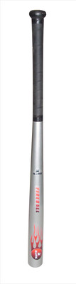 

HAWK PREDATOR SILVER Willow Baseball Bat(32 inch, 850 g)