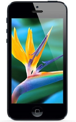(Refurbished) Apple iPhone 5s (Black, 32 GB)