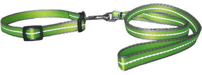 

Pet Needs High Quality Designer Nylon Leash and Adjustable Collar Set for Puppy- for Tracking, Patrolling, Walking, and Training -Length- 46 inches, Width-0.6 inch 116 cm Dog & Cat Strap Leash(Green)