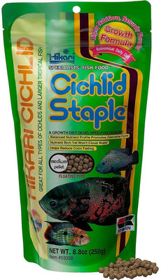 

Hikari Cichlid Staple Med Pellet 250g | Floating Type Fish Treat(250 g)
