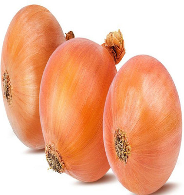 syed garden SMALL RED ONION, 100 seed Seed(100 per packet)