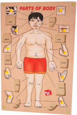 

Toyvala Handcrafted Human Body Parts Peg Puzzle Picture Learning Board for Children Educational Toy Board Game